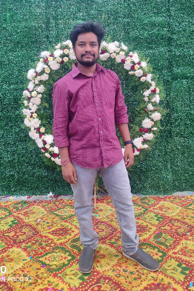 Viswa Paaraani Brides