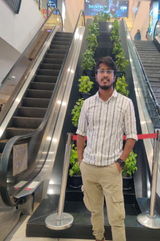 Viswa Paaraani Brides